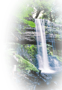 Russel Falls  with the courtesy of Tourism Tasmania