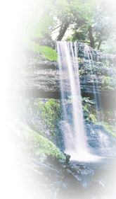 Russel Falls with the courtesy - Property of Tourism Tasmania